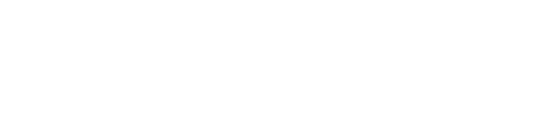 CHS logo White