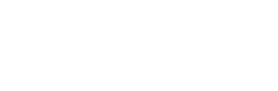 peachperfectpr logo white